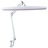 W:\img\_lukina\09_04_2021_ken\526641.jpg W:\img\_lukina\09_04_2021_ken\526641.jpg