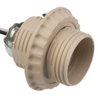 W:\img\_tkacheva\21_09_2023_ken\070593.jpg W:\img\_tkacheva\21_09_2023_ken\070593.jpg