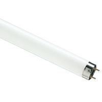 W:\img\_kazakova\10_01_2017\702914_b.jpg W:\img\_kazakova\10_01_2017\702914_b.jpg