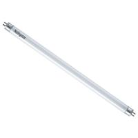 W:\img\_kriushina\07_03_2024_ken\057174.jpg W:\img\_kriushina\07_03_2024_ken\057174.jpg