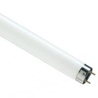 купить Лампа люм G13 Т8 30Вт 6500К 1900лм Osram  в Сыктывкаре Лампа люм G13 Т8 30Вт 6500К 1900лм Osram