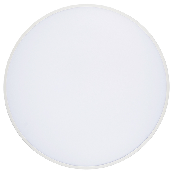 W:\img\_ipatova\16_06_2026_ken\dop\528412_1.jpg