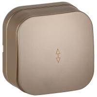 купить Глори шампань переключатель 1кл открытая 10А IP20  в Сыктывкаре Глори шампань переключатель 1кл открытая 10А IP20