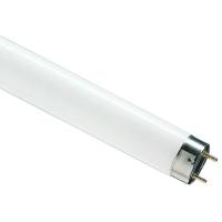 купить Лампа люм G13 Т8 58Вт 6200К 4000лм Philips  в Сыктывкаре Лампа люм G13 Т8 58Вт 6200К 4000лм Philips