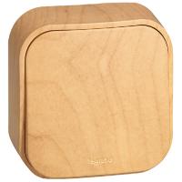 W:\img\_tkacheva\09_02_2024_ken\419416.jpg W:\img\_tkacheva\09_02_2024_ken\419416.jpg