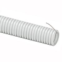 W:\img\_sharapov\16_11_2017_ken\914846_847_b.jpg W:\img\_sharapov\16_11_2017_ken\914846_847_b.jpg