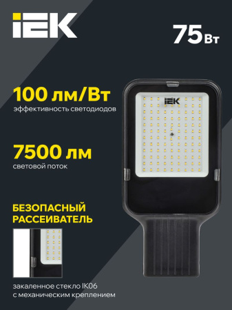 Светильник LED консольный ДКУ 1013-75Д 5000К IP65 IEK