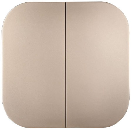 купить Глори шампань выключатель 2кл открытая 10А IP20   в Сыктывкаре Глори шампань выключатель 2кл открытая 10А IP20