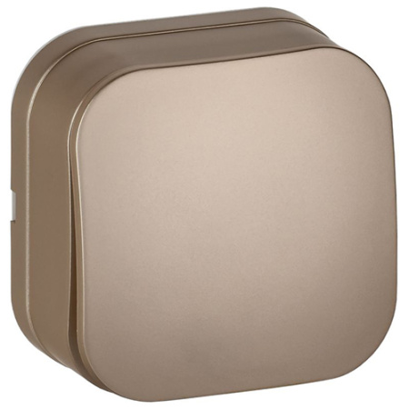 купить Глори шампань выключатель 1кл открытая 10А IP20  в Сыктывкаре Глори шампань выключатель 1кл открытая 10А IP20