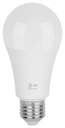 Лампа светодиодная 220В Е27 25Вт 6500К 2500лм стандарт A60 матовая ЭРА Green Line